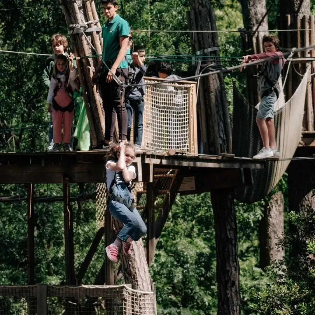 High ropes obstacle course in the pine trees at Adventure Park Jamor near Lisbon