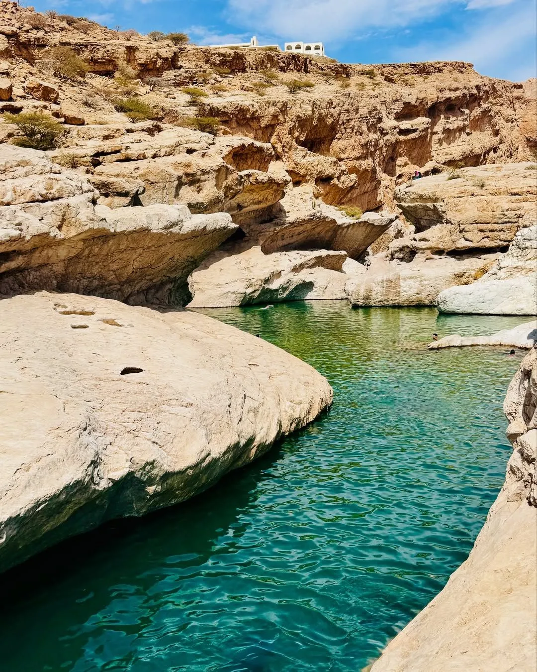 Turquoise water pools surrounded by white rocks and palm trees in Oman
