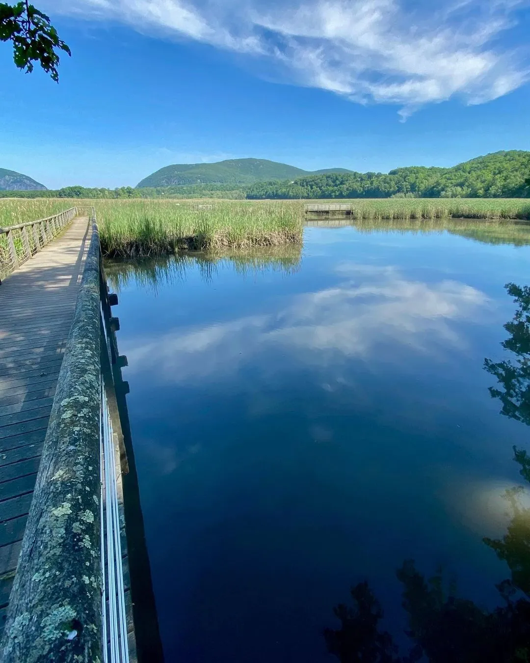 Comparison of high tide water levels versus low tide mudflats in a tidal marsh
