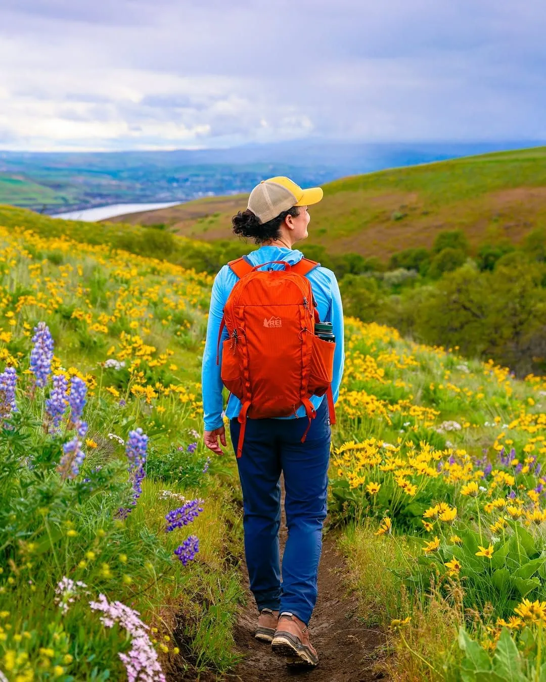 Hiking Alpe di Siusi Wildflowers