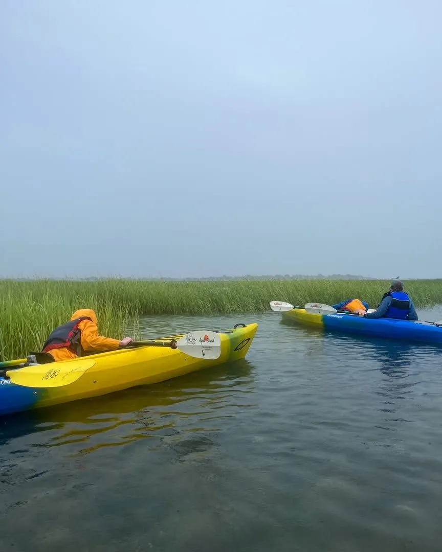 Kayaker paddling through tall green reeds in Constitution Marsh near Cold Spring New York