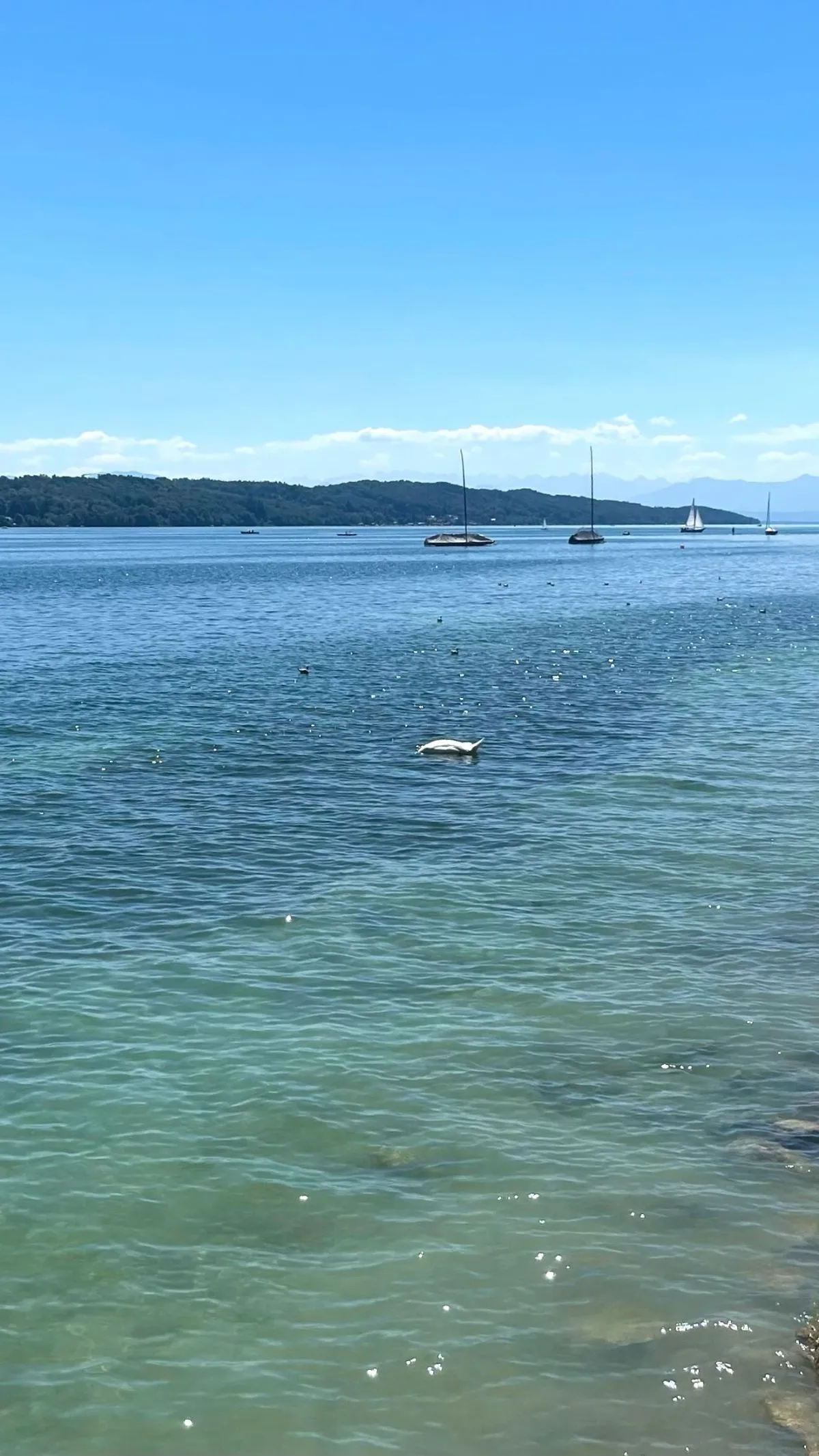 A peaceful wooden pier on Lake Starnberg suitable for strollers with Alps in the background