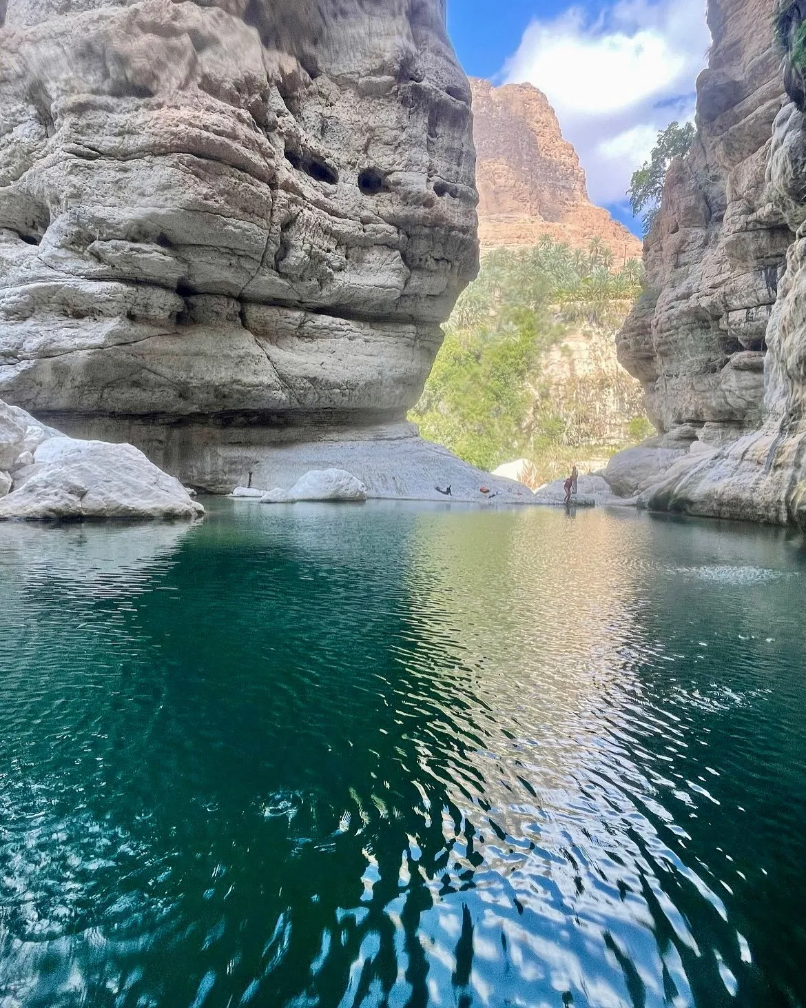 Turquoise pools and palm trees in Wadi Tiwi canyon