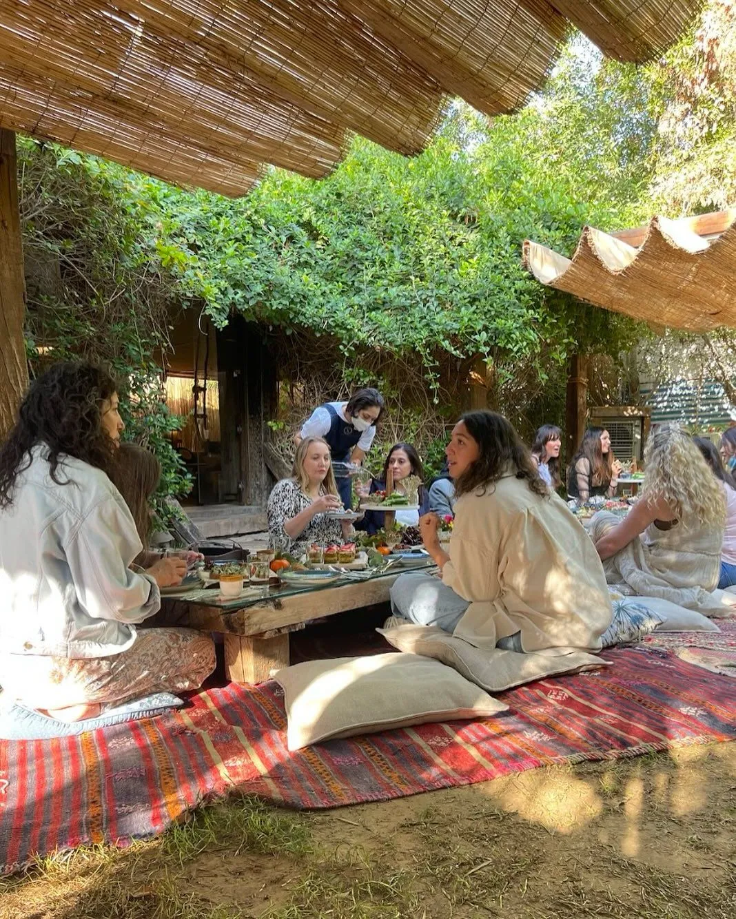 Lush outdoor garden seating area at Seva Table vegan restaurant in Dubai --no text, no words, no letters, no signboards, no logos