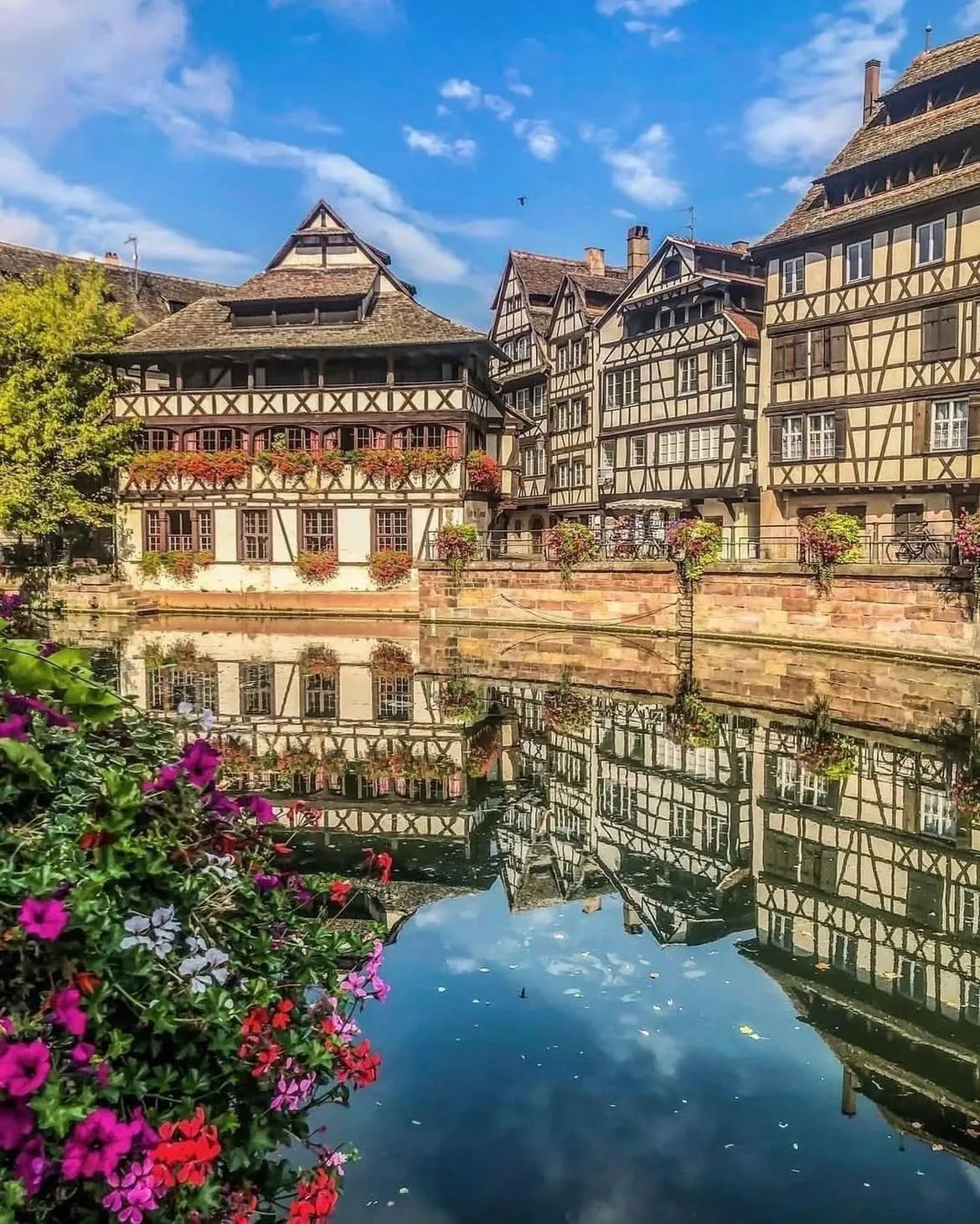 A quiet, historic courtyard garden at the Musée de l’Œuvre Notre-Dame.