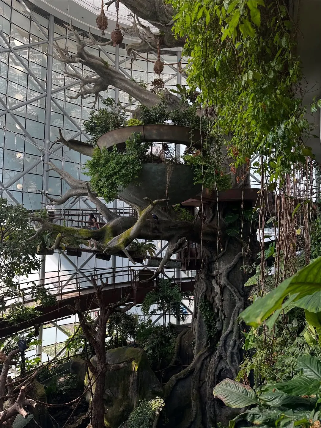 Spiral walkway winding around the central tree at The Green Planet Dubai