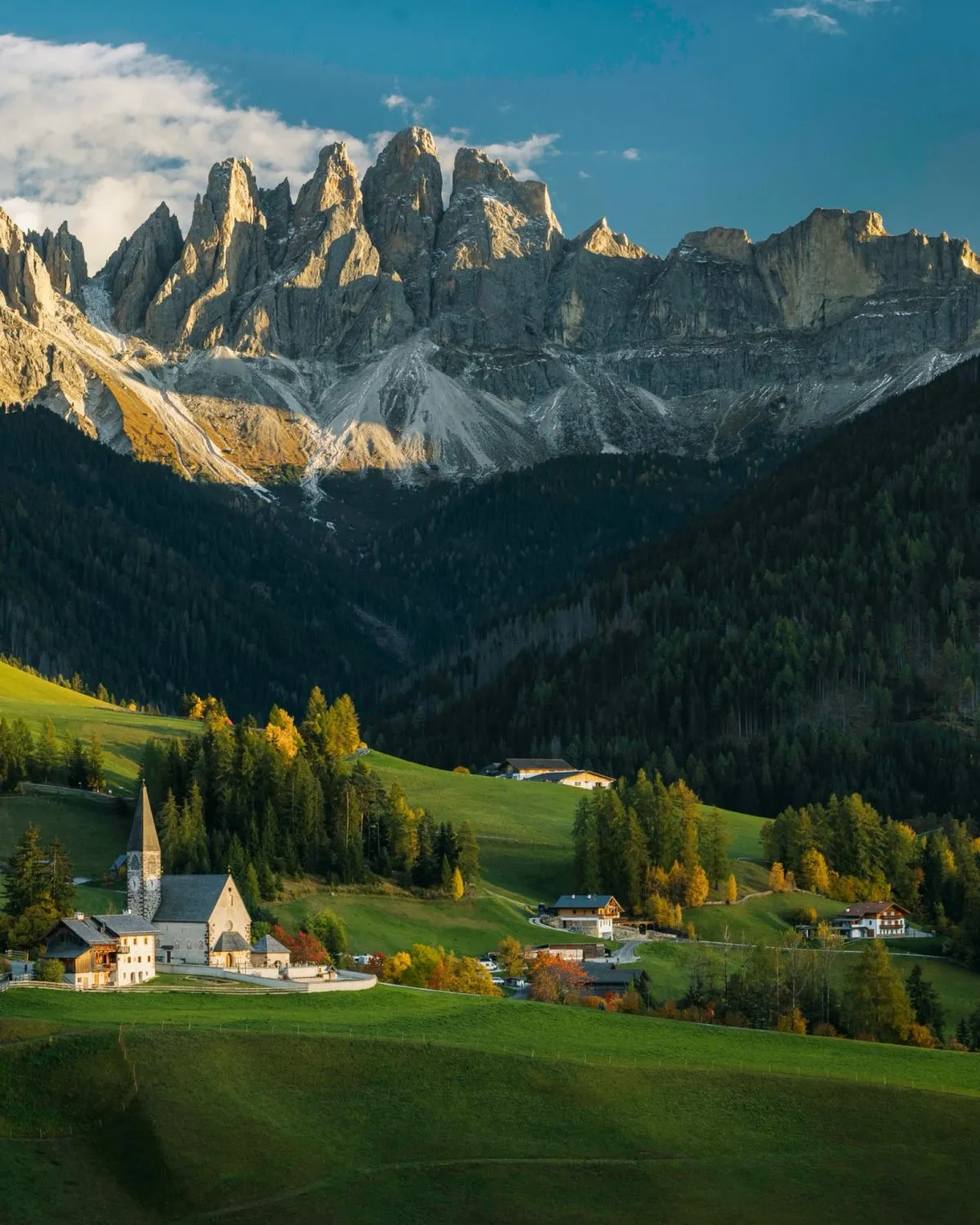 Spring wildflowers blooming in Val di Funes with snowy Odle mountain peaks in the background