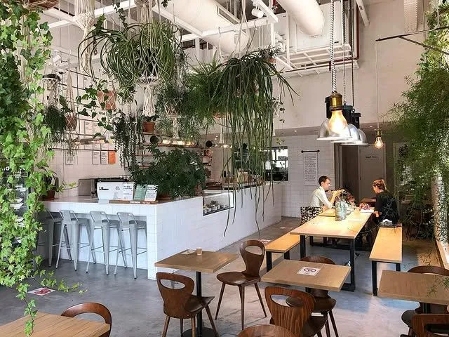 Interior of Wild and The Moon cafe in Al Quoz Dubai with hanging plants