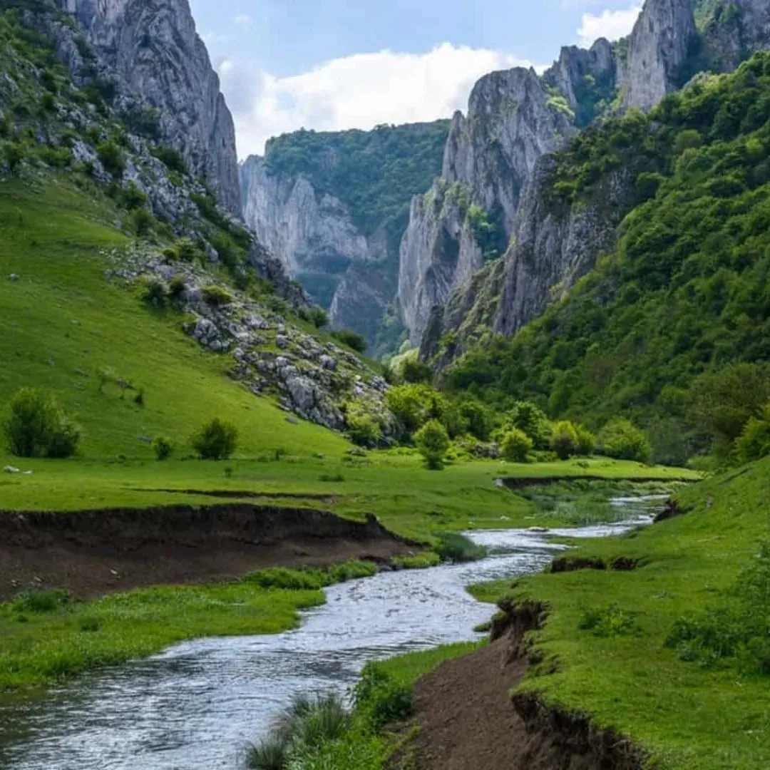 Looking up at the towering vertical limestone cliffs of Cheile Turzii gorge in Romania