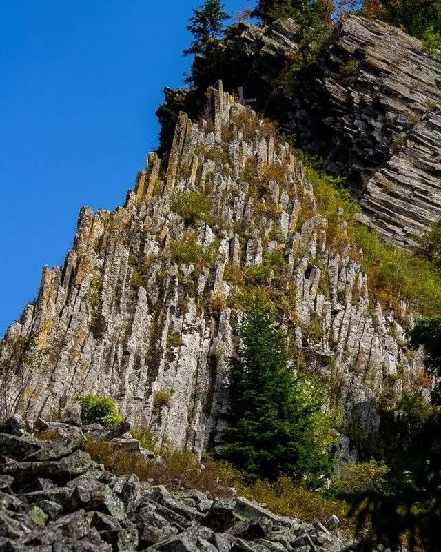 Vertical hexagonal basalt columns of Detunatele Goala surrounded by green forest