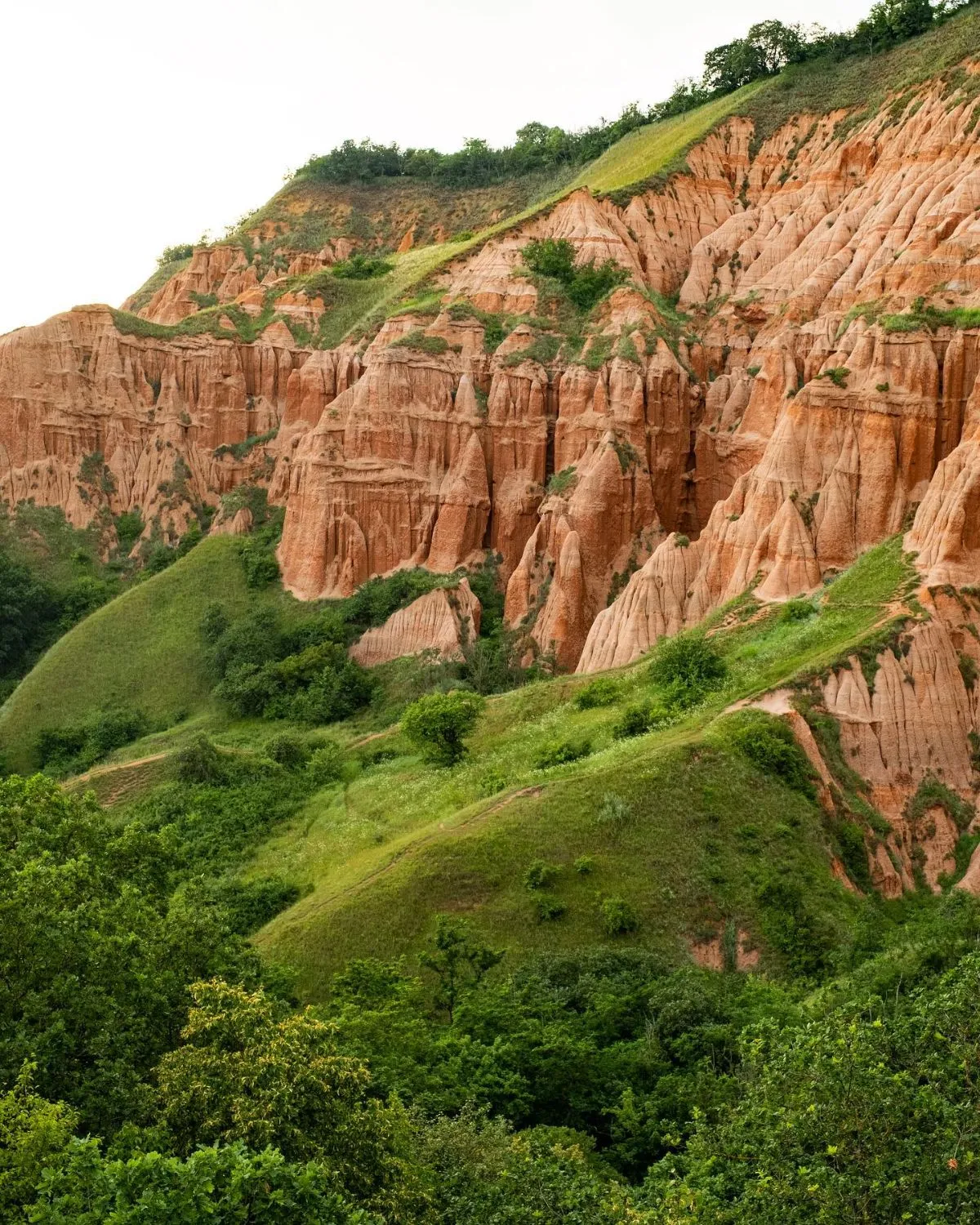 View of the massive red soil erosion of Groapa Ruginoasa surrounded by green pine trees in Romania