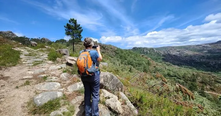 Mossy Roman milestone on the Geira Romana hiking trail