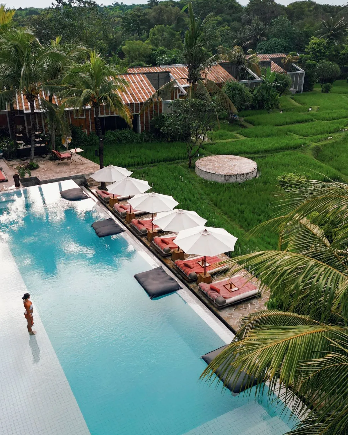 Luxury industrial villa overlooking green rice paddies in Pererenan Bali