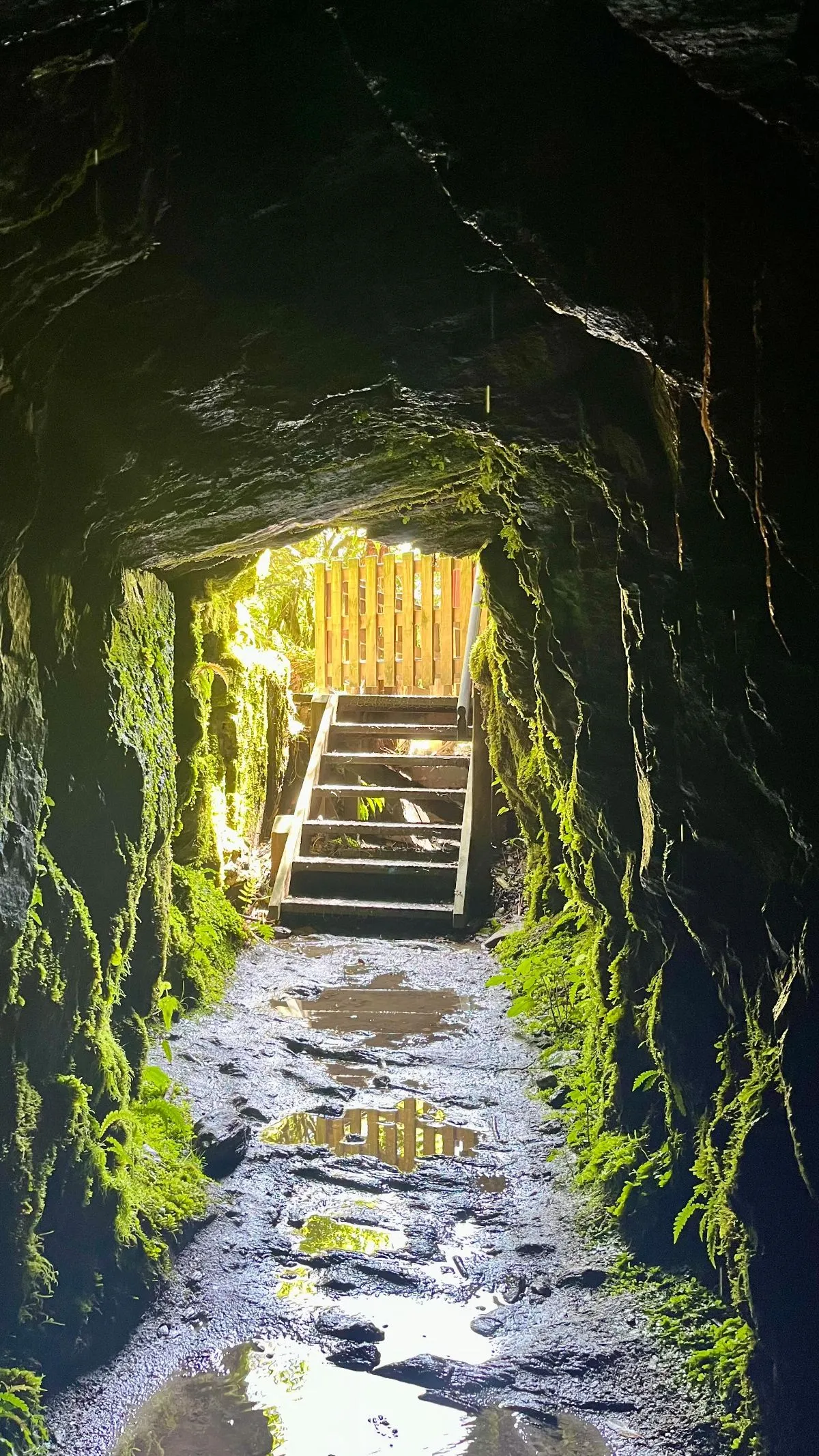 Dark entrance to the Tatare Tunnels track in Franz Josef with wet rocky ground