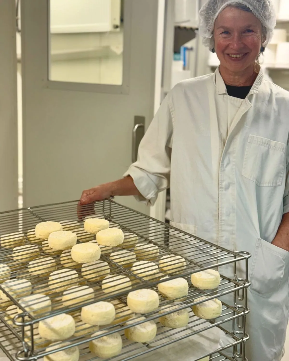 Hands preparing fresh sheep milk cheese in traditional reed baskets