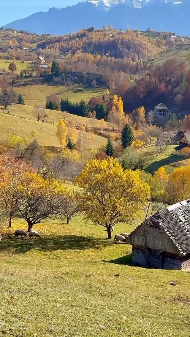 Dirt hiking path starting near traditional wooden houses in Bucium village
