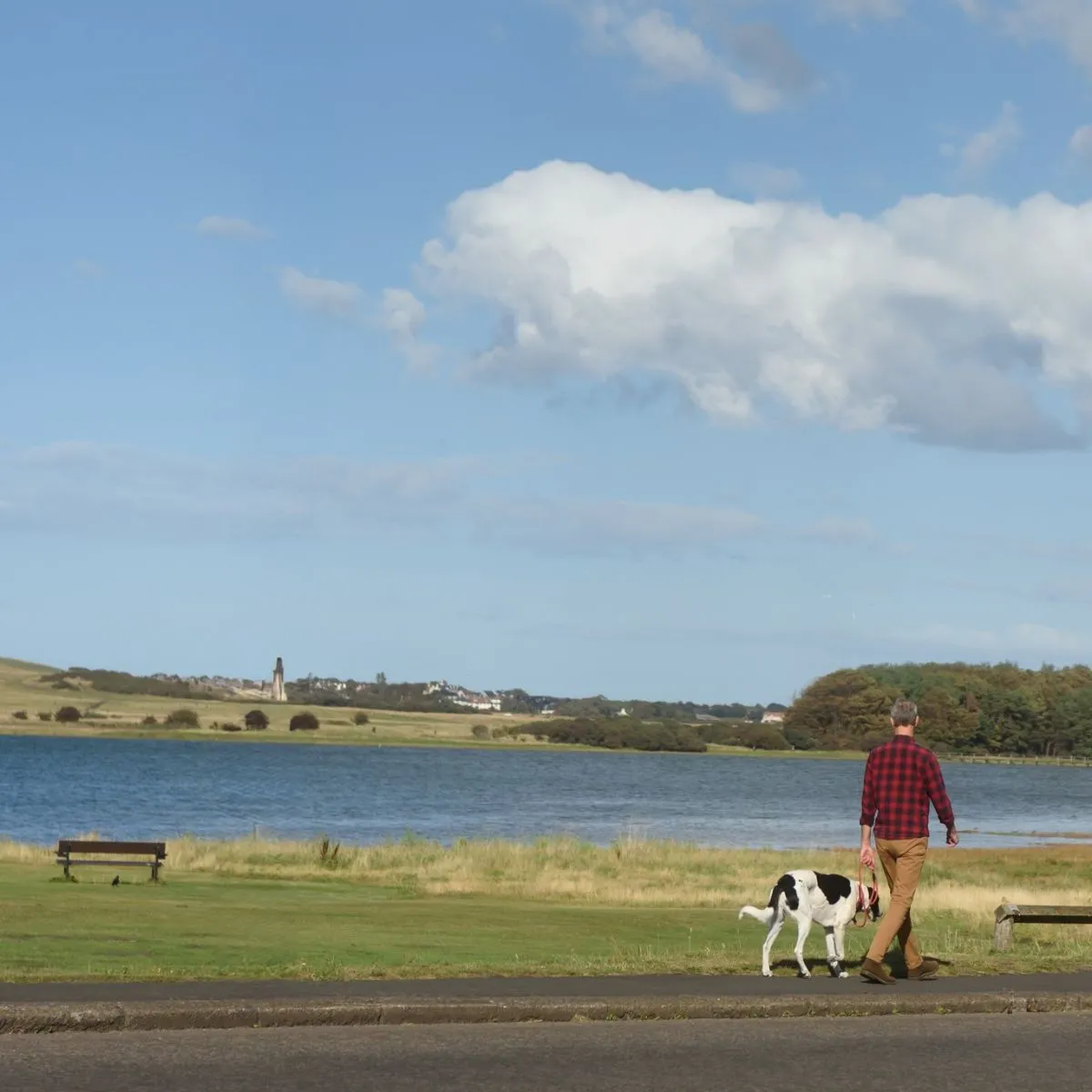 Scenic view of Aberlady Bay nature reserve with tall grass and wading birds near Edinburgh