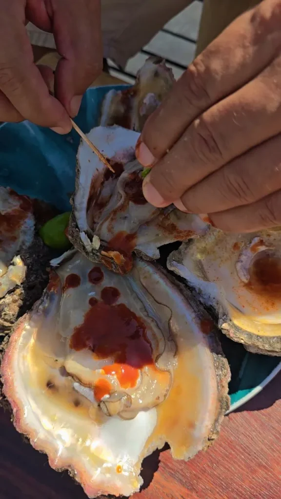 Rustic beachside palapa serving fresh seafood in Oaxaca