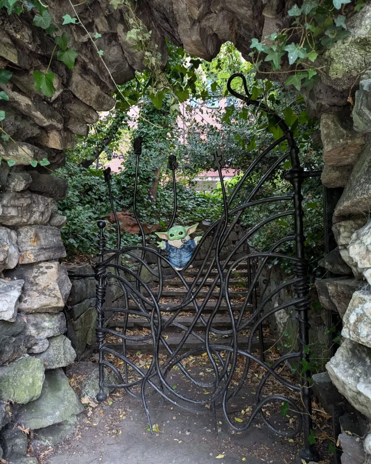 Secluded waterfall and lush greenery inside Iveagh Gardens Dublin