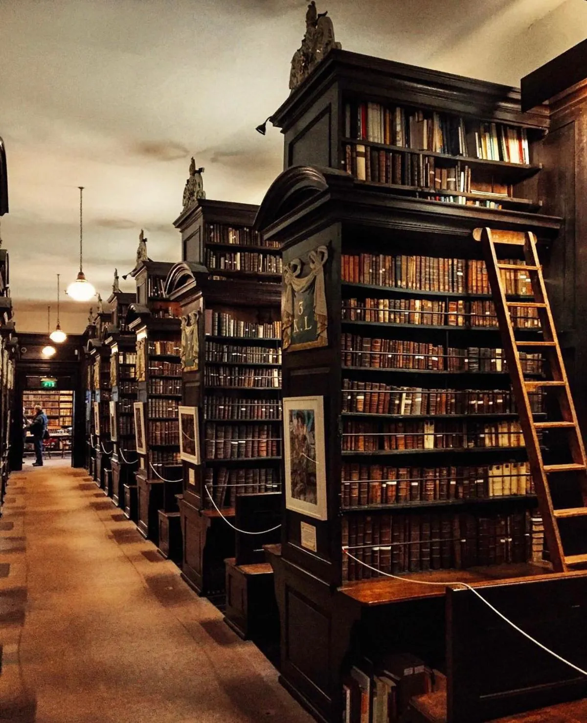 The historic 18th-century interior of Marsh's Library in Dublin featuring tall oak bookshelves and antique books.