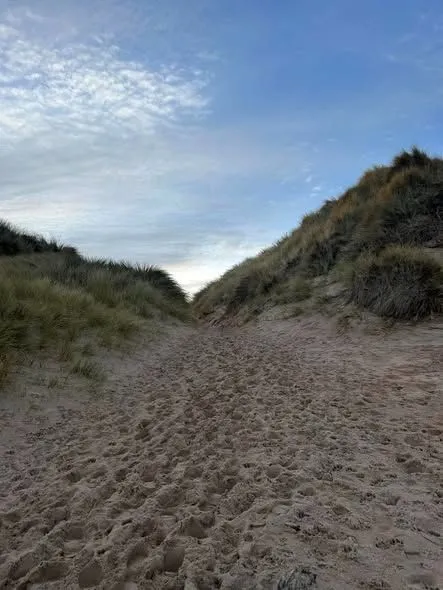 Scenic rural path leading to the hidden sands of Thorntonloch Beach