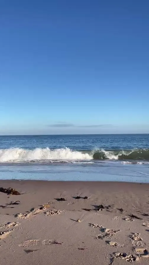 Expansive golden sands and gentle waves at Thorntonloch Beach near Edinburgh