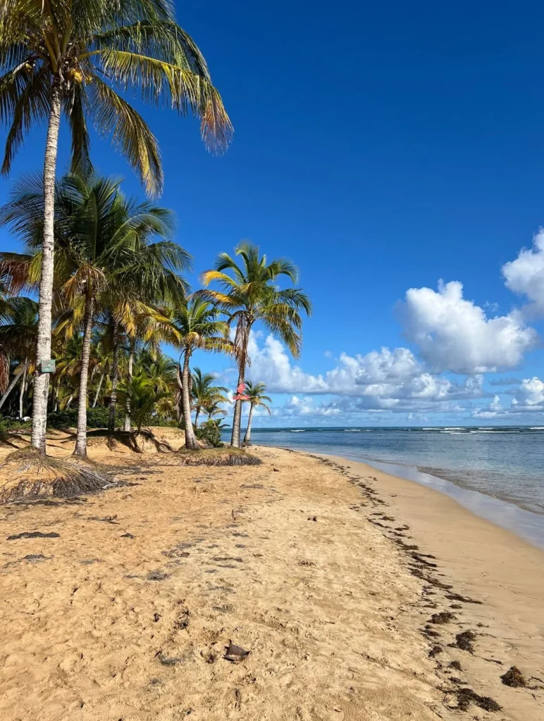 A scenic dirt road leading to the secluded Playa La Boquilla beach