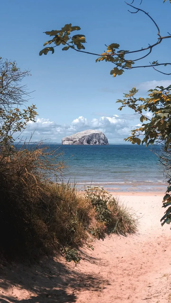 Rustic coin-operated toll barrier on the road to Seacliff Beach