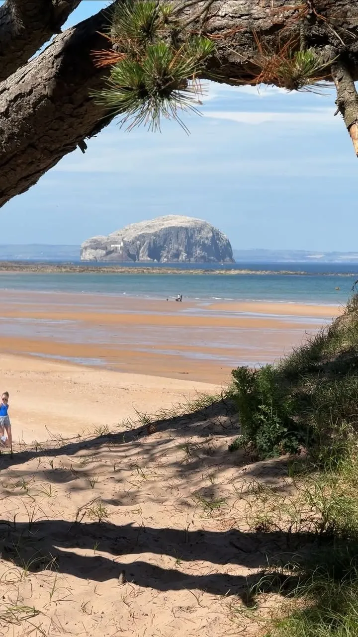 Scenic view of Tyninghame Beach showing golden sands backed by lush green pine woods near Edinburgh