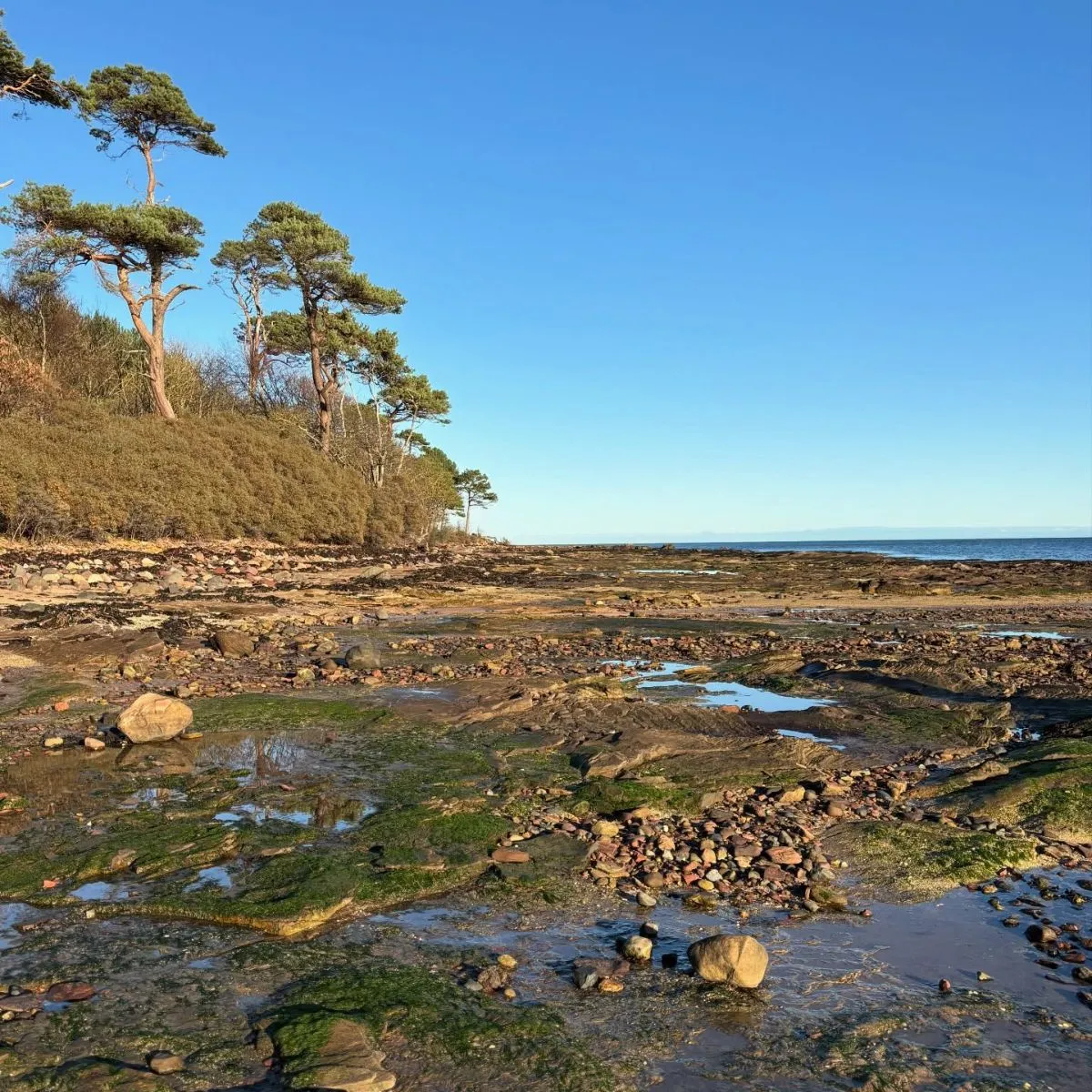 Rustic wooden fence at the entrance to Tyninghame beach near Edinburgh