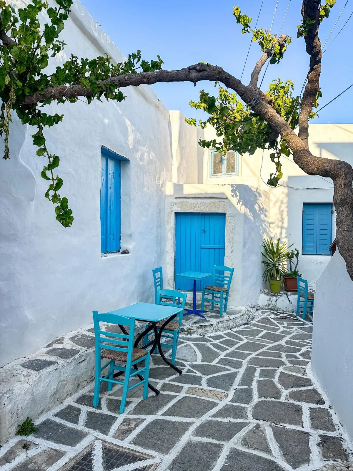 A picturesque whitewashed pedestrian alley in Paros with bougainvillea