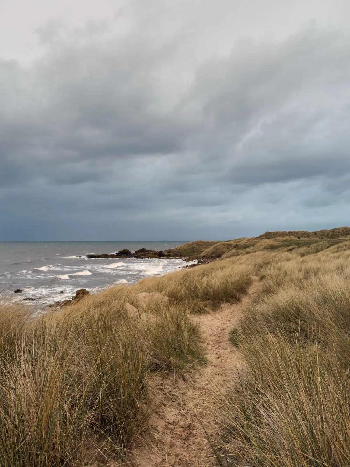 Tranquil sands of Yellowcraig Beach looking towards Fidra Island lighthouse near Edinburgh