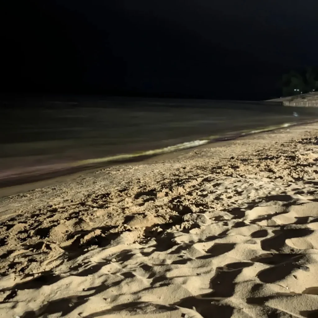 A peaceful view of Playa Vieja river beach in Bella Vista Corrientes during summer sunset