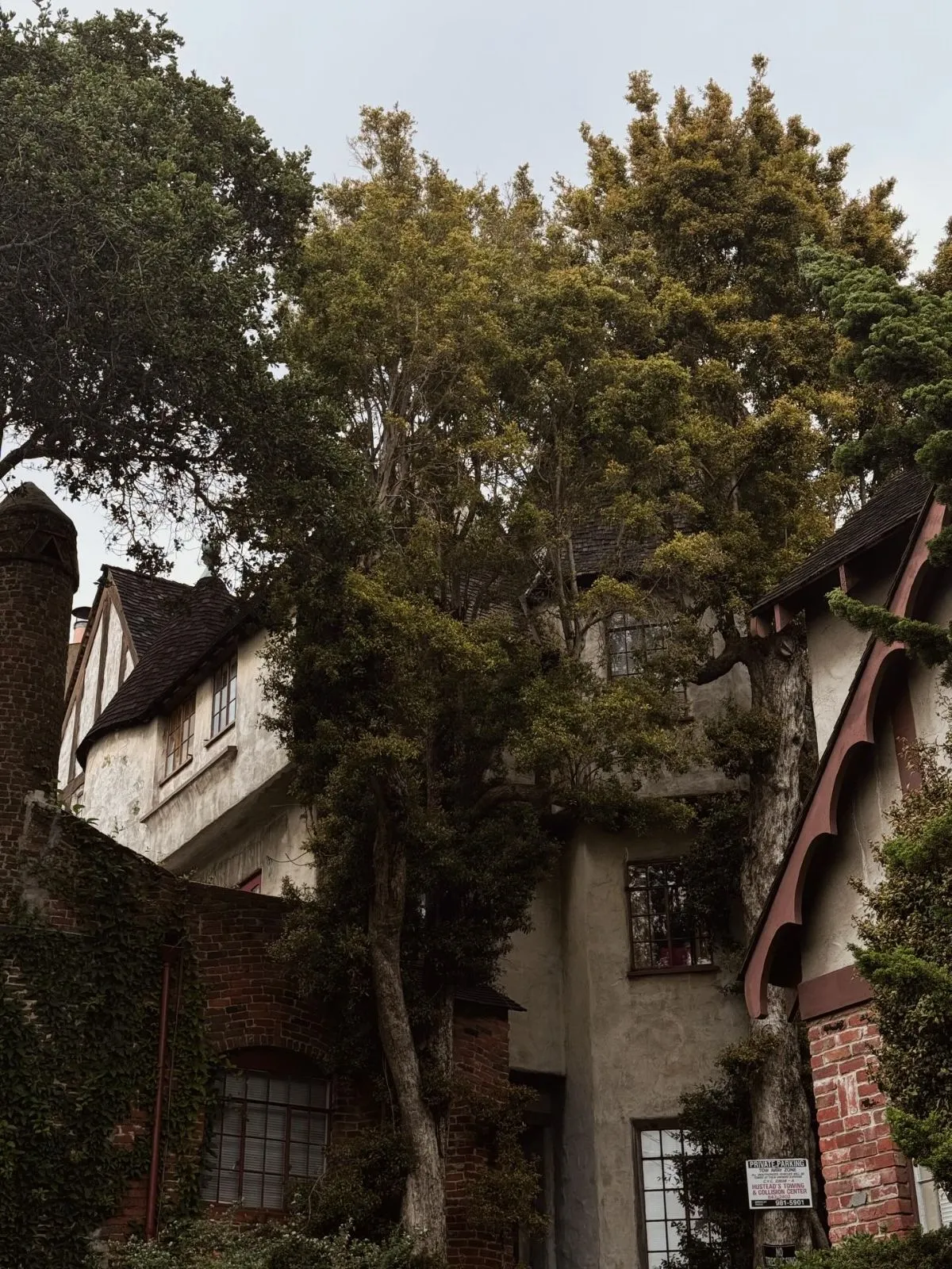 A stunning California Craftsman house in Berkeley showing intricate wood details and clinker brick chimneys.