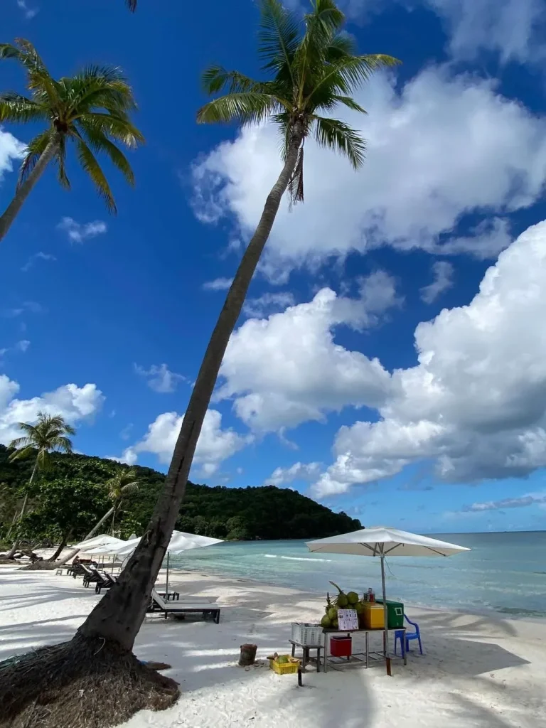 Aerial view of the Cua Can river meeting the ocean at a quiet sandy beach in Phu Quoc