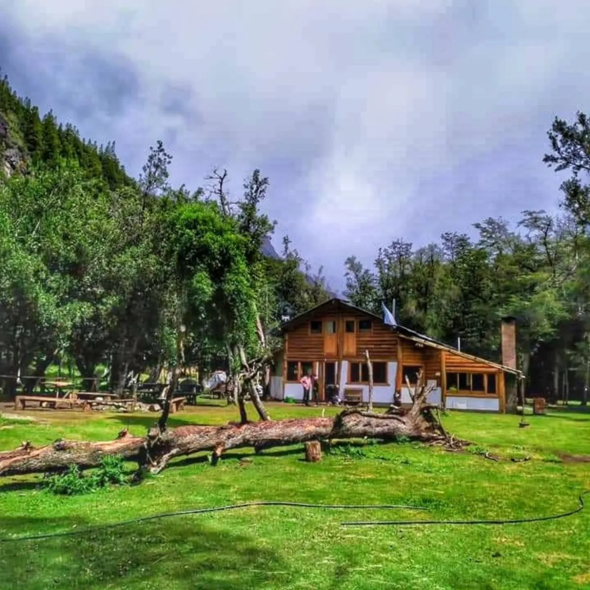Lush forest trail leading to Refugio Encanto Blanco in El Bolson Patagonia