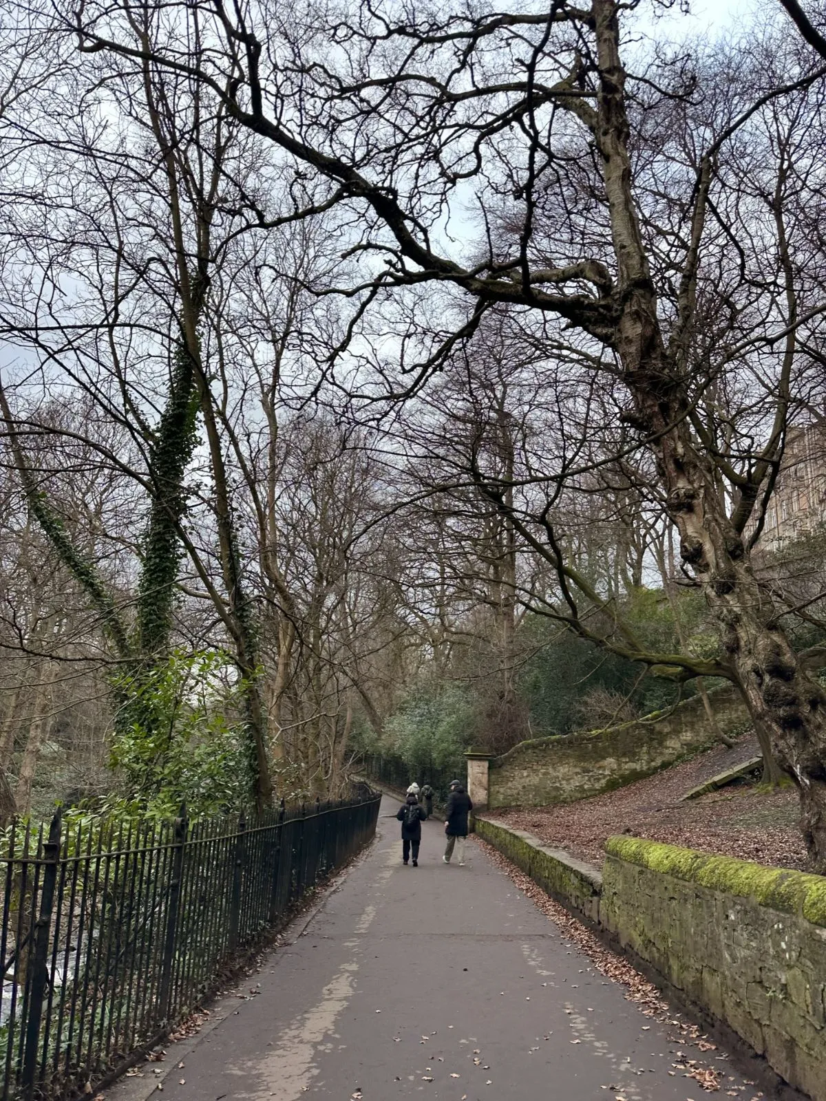 A peaceful view of the lush Rocheid Path along the Water of Leith walkway.