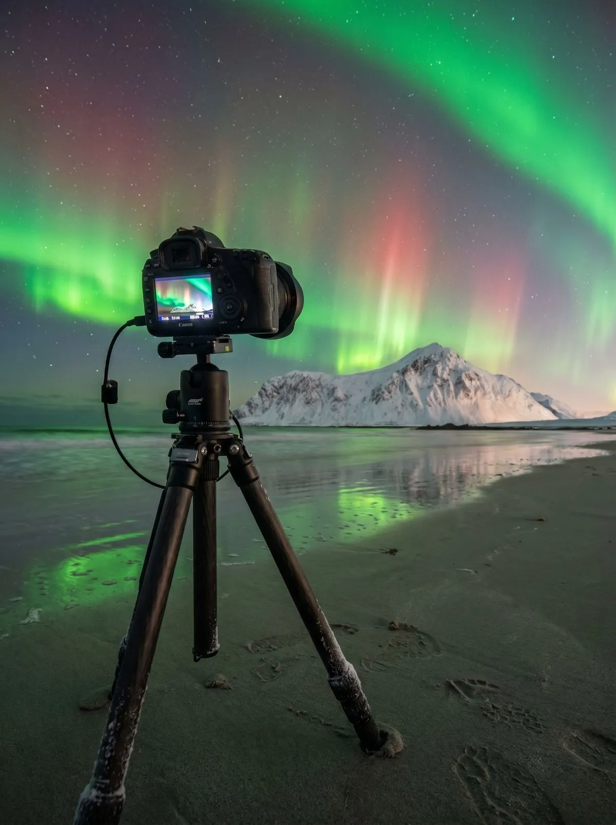 Professional camera on a tripod capturing the aurora borealis at Ytresand beach