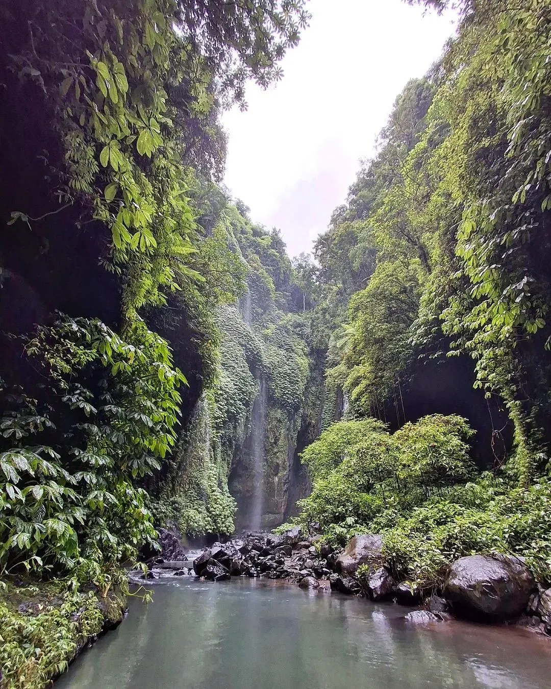 Steep jungle trail leading to Sekumpul Waterfall in Bali