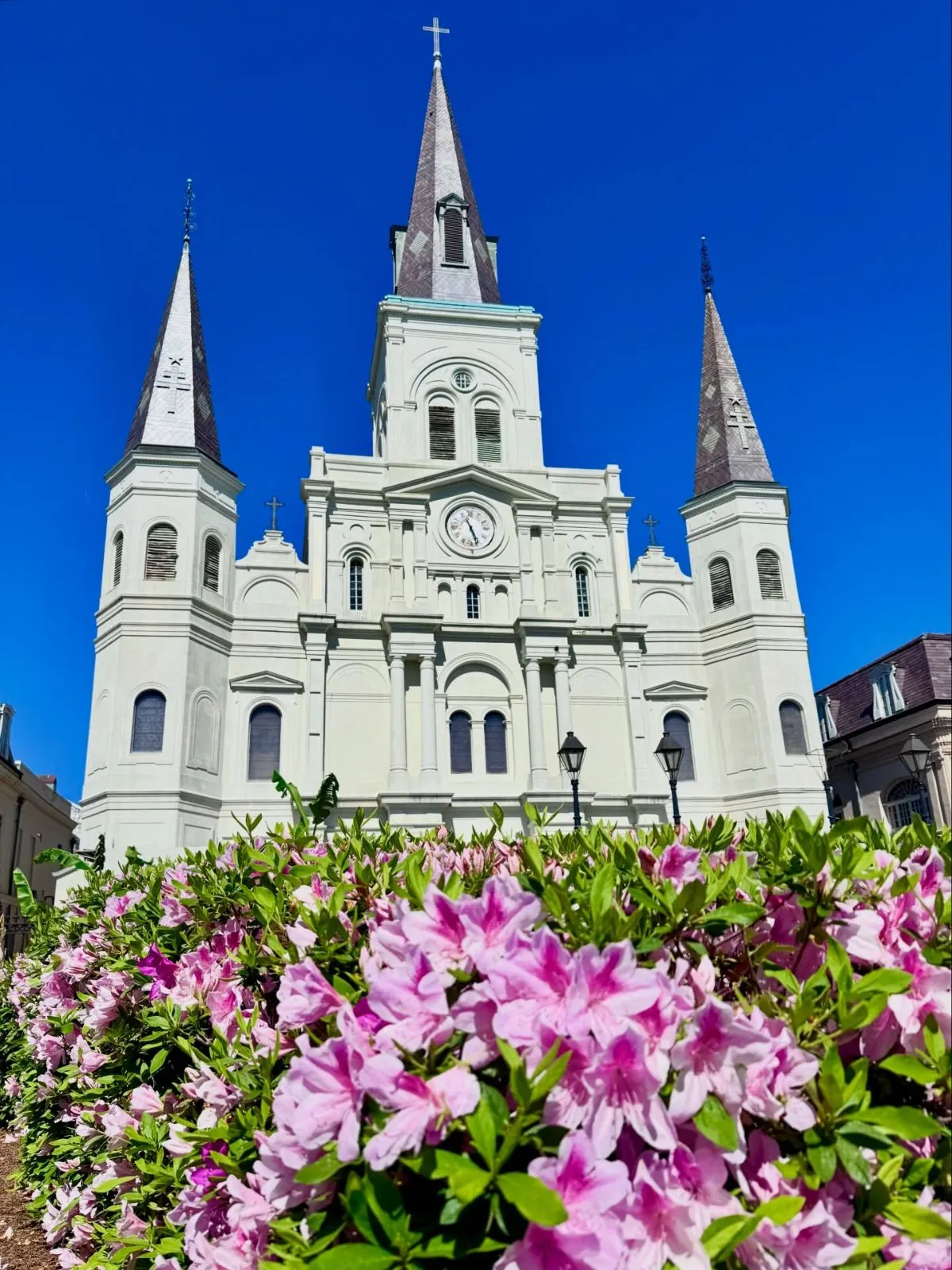 Jackson Square in New Orleans featuring St Louis Cathedral