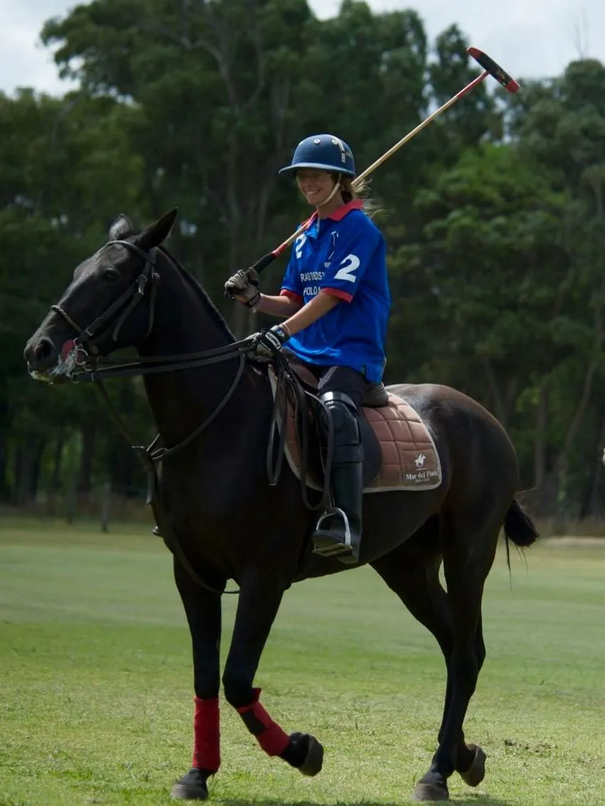 Gentle polo horse on a green field in the Argentine Pampas ready for riding lessons