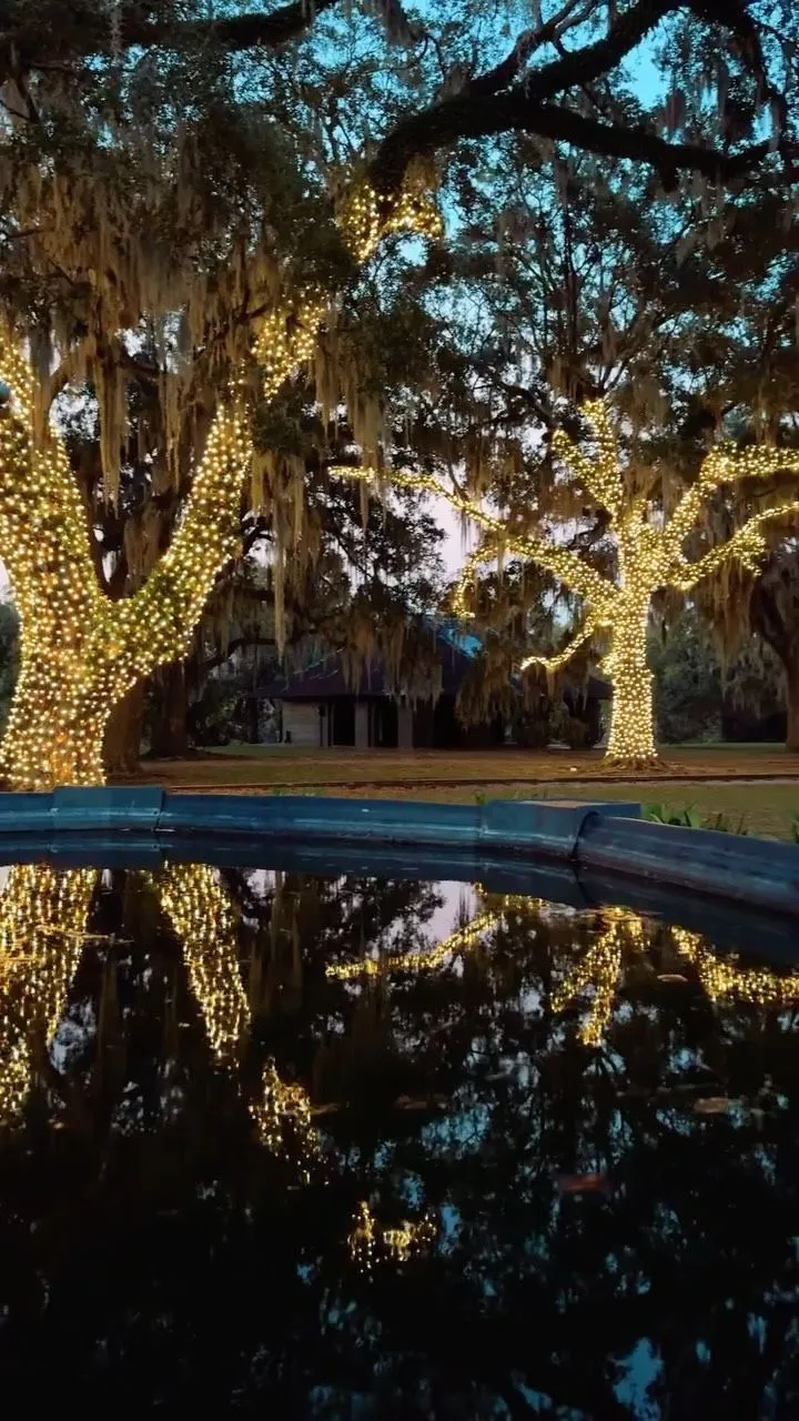 Walking trails through lush green forest in New Orleans City Park