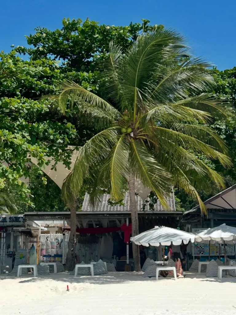 Quiet beachfront bungalows nestled under palm trees on the powdery white sand and turquoise waters of Leela Beach near Haad Rin in Koh Phangan.