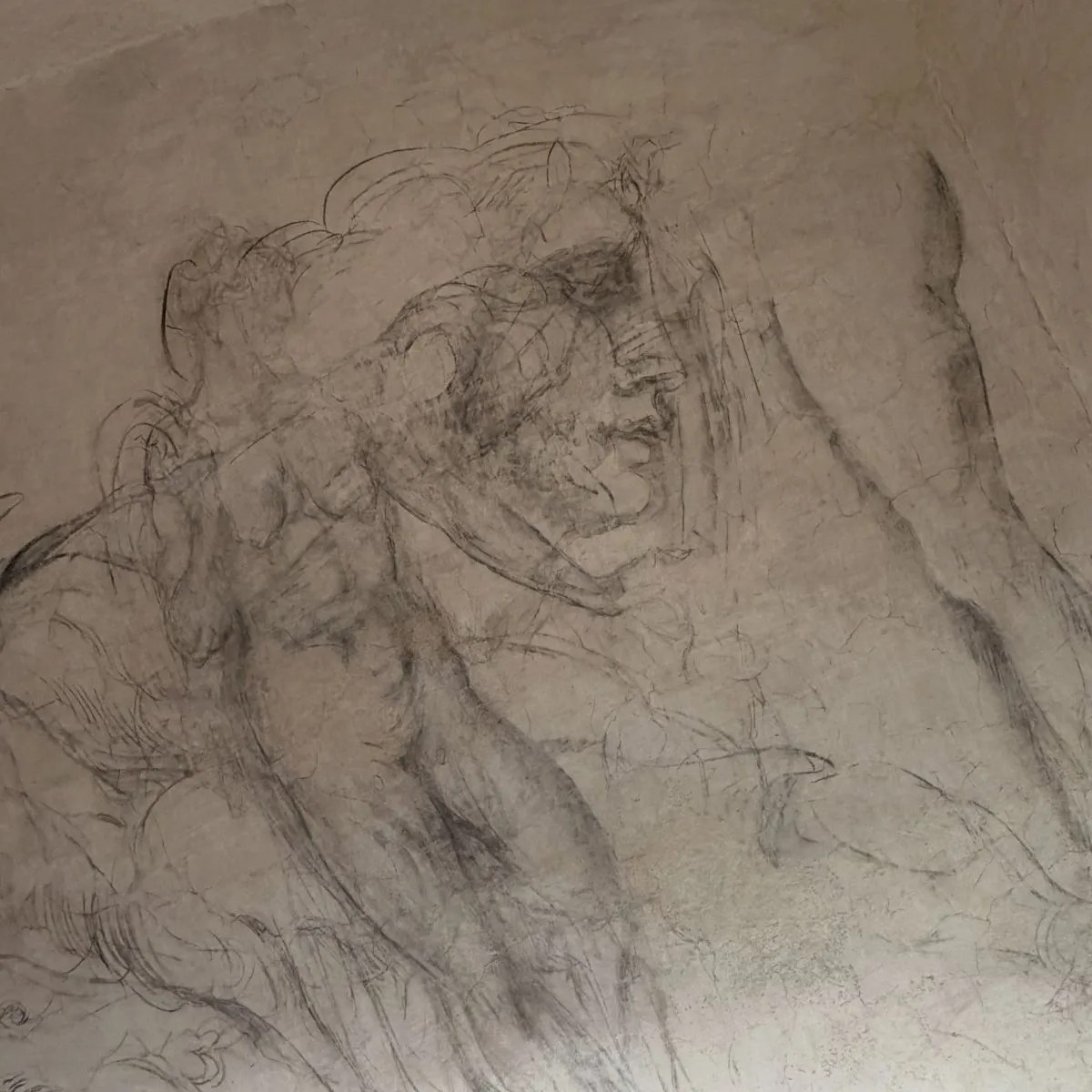 A close-up shot of original Renaissance charcoal sketches depicting human anatomy on a rough plaster wall in Michelangelos secret room in Florence.